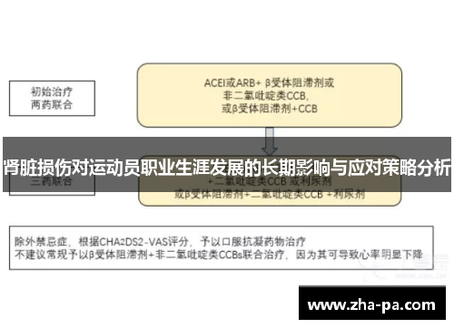 肾脏损伤对运动员职业生涯发展的长期影响与应对策略分析