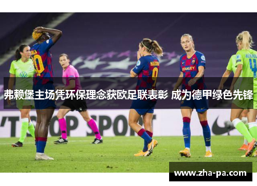 弗赖堡主场凭环保理念获欧足联表彰 成为德甲绿色先锋 弗赖堡主场凭环保理念获欧足联表彰 成为德甲绿色先锋