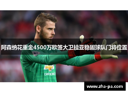 阿森纳花重金4500万欧签大卫拉亚稳固球队门将位置 阿森纳花重金4500万欧签大卫拉亚稳固球队门将位置